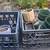 MONDAY ONLY morning hours estate sale ANTIQUE and vintage furniture 24 thumbnail