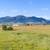 Over 20 Acres for Sale! 13 thumbnail