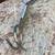 SHORE POWER CORD HOLDER 6 thumbnail