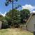 Gonzalez tree service landscaping now affordable tree removal land  la 4 thumbnail