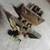 Vise 7" quick release under bench woodworking vise by Richards Wilcox 1 thumbnail