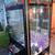 Nice Hot Stuff Crane Machine Arcade Claw Game Taxi Soldier Vending 2 thumbnail