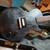 Gibson Les Paul Junior for Trade 2 thumbnail