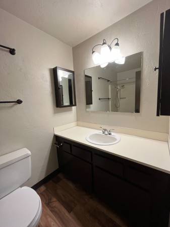 $1,125 / 350ft2 - (OLV #33) Unique Studio at 15th & Olive (Eugene)63977276059906120