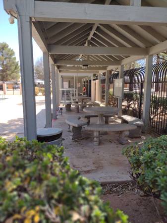 $600 / 1br - Room for Rent (Desert Shadows)63793820693633122