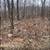 1/3 Acre lot for sale 3 thumbnail