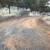 Prime 40-Acre Land for Rent: Ideal for Agriculture, Livestock 2 thumbnail