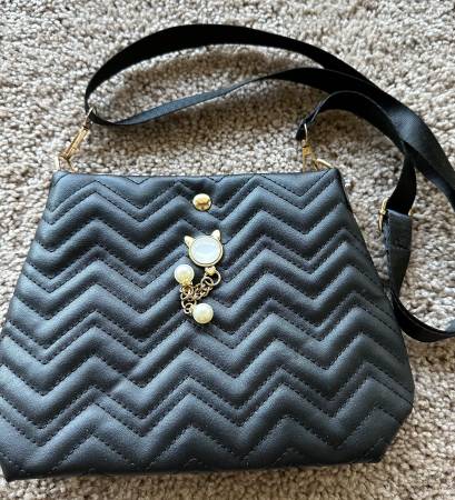 Black Purse 1