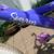 Pacific Soarin' Kids Bike 20" Wheels, Hand and Coaster Brakes 7 thumbnail