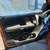 ♻️ 2007 CHEVROLET SILVERADO 2500 HD 6.6L PARTING OUT 10 thumbnail