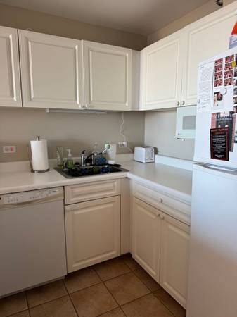 $1,000 / 1br - 700ft2 - Where memories are made (Chicago)63898733463810121