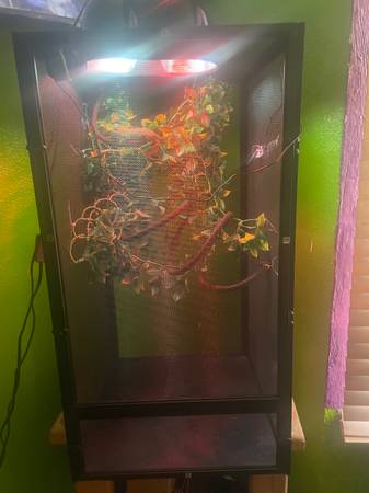 Enclosure and light fixtures for chameleons and other reptiles 1