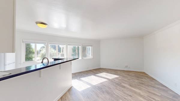 $1,995 ✨ Bright Studio in Prime San Rafael Location ✨ (san rafael)63850427190787123