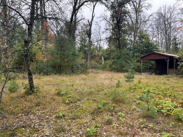 $39,000 Nicely wooded 5 acres (Baldwin)64037724569345124