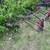 Super C two row front and rear cultivators 6 thumbnail