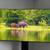 65" Samsung S90D QD-OLED TV 3 thumbnail