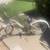 "FELT" Beach Cruiser Womens 3 Speed 2 thumbnail