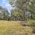 🏡 For Rent: 3BR/1BA Home Near Downtown Spartanburg, Wofford, and VCOM 22 thumbnail