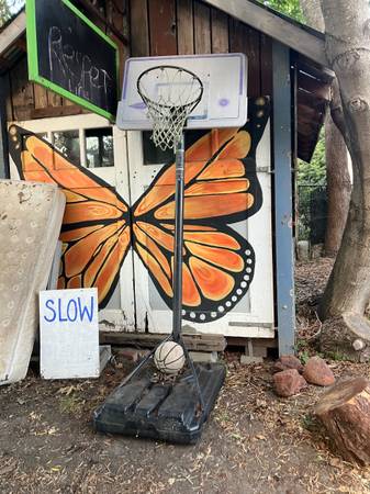 Curb alert basketball hoop 1