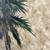 One Kings Lane Palmetto Palm Decorative Panel Hanging 4 thumbnail