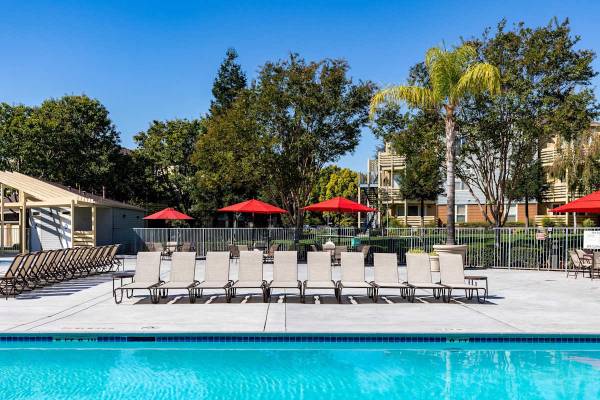 $1,965 / 428ft2 - Live Rent-Free for a Month- Tour Today! (san jose south)63851967970945120