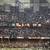 Green Bay Packers Super Bowl XXXI 1997 photo Louisiana Superdome NFL 4 thumbnail