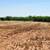 10acr Terreno Land for Sale Abilene Tx 3 thumbnail