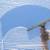 Professional Window, Roof & Gutter Cleaning 2 thumbnail
