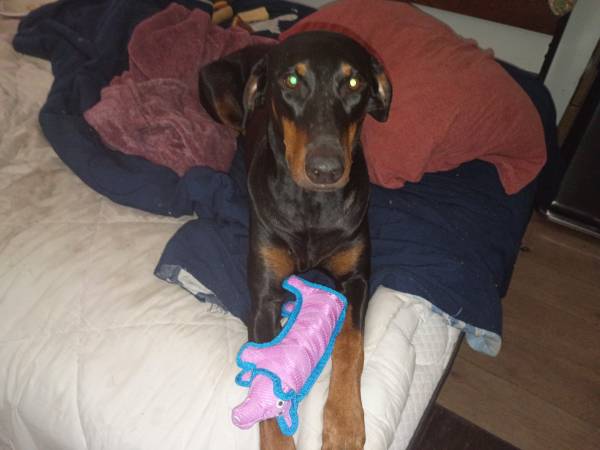 Needing a house share 1