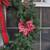 Large (3 Foot) Vintage Outdoor Christmas Wreath 7 thumbnail