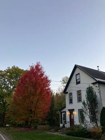 Housemate wanted 1