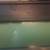 40 x 26 Sumner Dolphin 1990 Marine Art Print Glass Wood Frame Harmony 7 thumbnail