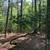 Nice, quiet, peaceful 1.24 Acre 3 thumbnail