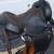 saddle seat 6 thumbnail