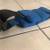 Scuba: Lead Shoot Weights-Soft Weight Belt (22 lbs) Only $3 per Pound! 1 thumbnail