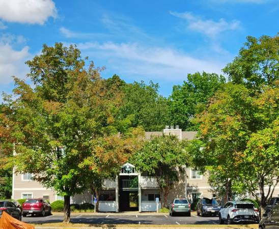 $1041.00 / 2br - 840ft2 - Charming 2nd Floor 2 Bedroom Apartment in Lynchburg, VA | Available 9/63851970391427120