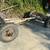 Wagon running gear 2 thumbnail