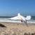 White Dove Release 4 thumbnail