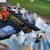Big One Day Antique Sale and Flea Market 8-2-25 13 thumbnail