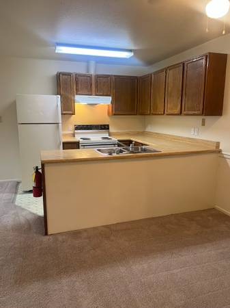$1,450 / 1br - 780ft2 - A picture is worth a thousand words! Check this 1 bed 1 bath out! (Anchorage - Midtown)64014170605698121
