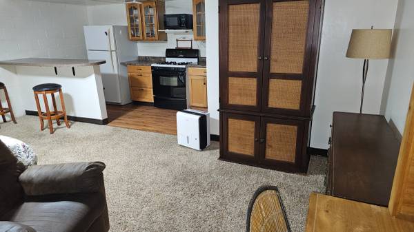 $1,000 / 1br - ESTUDIO AMUEBLADO EN ALQUILER EN UN BARRIO AGRADABLE - INCLUYE SERVICIOS63774369824003120