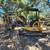 CAT 303C CR Mini Excavator 1 thumbnail