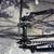 Raleigh Aluminum Alloy Custom 50cm Single Speed Fixie/Cruiser 4 thumbnail
