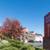 Patio, Carpet, Laundry Facilities 2 thumbnail