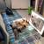 Furnished BR – Spadina/College M5S 2K9 – All-included – Sept 13 3 thumbnail