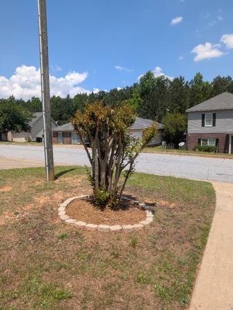 $850.00 / 1br - Habitación solo para alquilar Habitación 163843421182851122