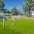 Pet-Friendly Living! Bark Park, Pool, Basketball, Fitness W/D in units 8 thumbnail