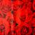 Halloween Decor, Party Backgrounds, 15 thumbnail