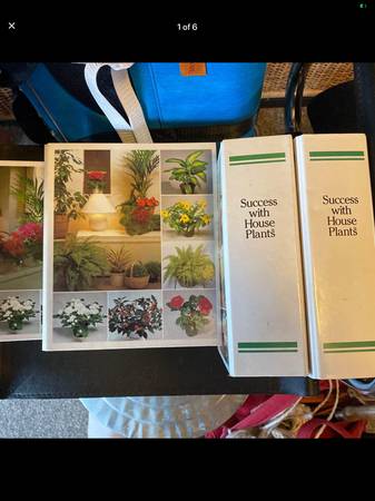 Success With House Plants 1