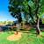Come home to a getaway - every day! Resort-style 1 bed, 1 bath! 21 thumbnail